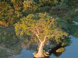 Africa 265 : Aerial View, Africa, Botswana, Delta, Landscape, Mombo, Nature, Okavango, Reflection, Travel